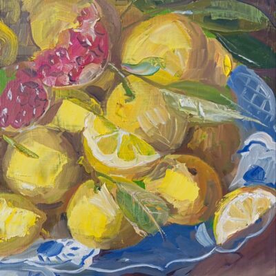 Still life with lemons and pomegranate slices